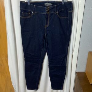 Torrid Dark Blue Women's Jeggings